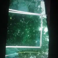 شیشه رفلکس وساده