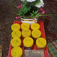 انواع عسل های پرورشی و طبیعی کیفیت تضمینی|حراج|کارون, |دیوار