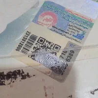 پلو پز|اجاق گاز و لوازم برقی پخت‌وپز|شیراز, شهدای شهرک سعدی|دیوار