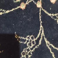 مدارک گم شده