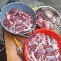 حراج گوسفندفروشی نر سالم عقیقه نذری|حیوانات مزرعه|قم, صفاشهر|دیوار