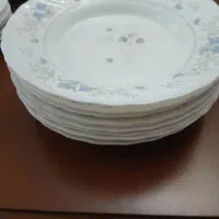 حراج تعدادی ظروف آرکوپال ، بلور وچینی