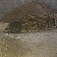 کودحیوانی
