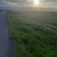 ۱۰۰۰مترزمین حاشیه جاده شاداب