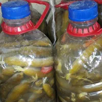 خیارشور خوشمزه کاملا بهداشتی