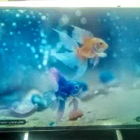 تلویزیون ال ای دی 42 سیرا