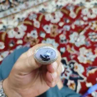 شجر تک|جواهرات|سنندج, |دیوار