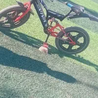 دوچرخه سایز ۲۰ عروسک