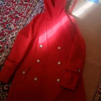 پالتو.بوت.کفش