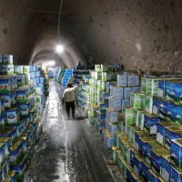 ویزیتور بازار یاب پنیر لیقوان