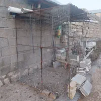 قفس|لوازم جانبی حیوانات|سرپل ذهاب, |دیوار