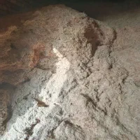 کاه‌‌گندم‌وجو‌مال‌امسال