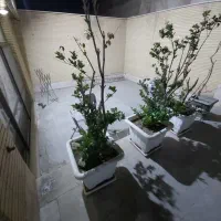 آپارتمان-طبقه-ی-همکف-چهارباغ