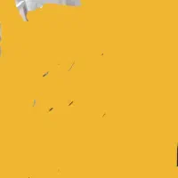 کفتر قلاقی باخت رفته