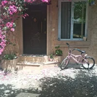 ویلا  سوییت