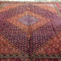 یک عدد ۱۲متری ماهی گوشت دار اردبیل