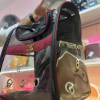 انواع باکس ، کوله ، جا خواب، جا خاک گربه