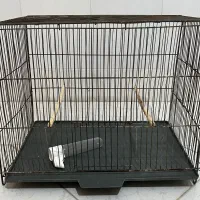 قفس پرنده|لوازم جانبی حیوانات|قم, باسکول|دیوار