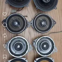 کواکسیال الپاین.  کاروزریا پایونیر گلدار