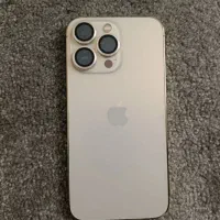 13 Pro
