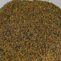 خریدار بذر شبدر