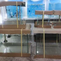 آکواریوم شرکتی نو|ماهی|قزوین, |دیوار