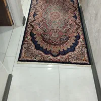 فرش نو|فرش|شیراز, شهرک مدرس|دیوار