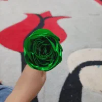 گل مصنوعی|گل مصنوعی|یاسوج, |دیوار