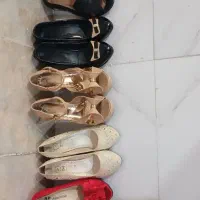 کفش مجلسی زنانه|کیف، کفش، کمربند|بروجرد, |دیوار