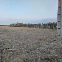 زمین کشاورزی و باغی قلندرمحله|فروش زمین و ملک کلنگی|گرگان, |دیوار