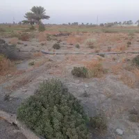 اجاره-5-هکتار-زمین-کشاورزی-رودخانه-دشت-مسافر-آباد