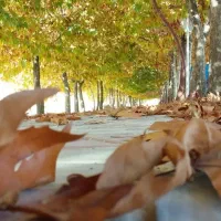 برقکاری ،لوله کشی ، تعمیر آبگرمکن ، کارهای فنی