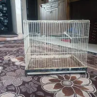 قفس
