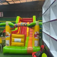 مربی خانه بازی