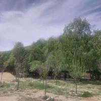 تور یک روزه ویژه بانوان رودبال