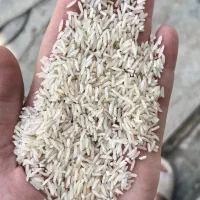 فروش برنج و نیمدانه و لاشه و ضایعات برنجی|خوردنی و آشامیدنی|گرگان, |دیوار