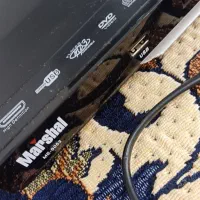 دی وی دی به شرط