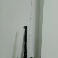 لنسر ماهیگیری