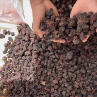 آلوچه ریز|خوردنی و آشامیدنی|مشهد, راه آهن|دیوار