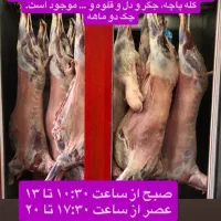 فروش گوشت با چک ۶۰ روزه|خوردنی و آشامیدنی|یزد, |دیوار
