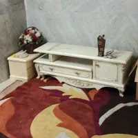 تلویزیون