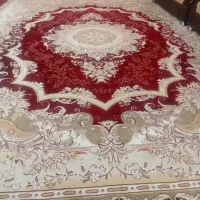 قالی ۱۲ متری