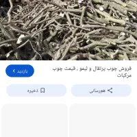 خریدار چوب پرتقال و لیمو و نارنگی