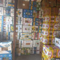 خرید و فروش کارتن موزی