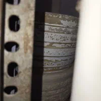 گلدان سفالی|گل و گیاه طبیعی|تهران, وصفنارد|دیوار