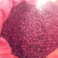لوبیا قرمز درجه یک بوجاری شده