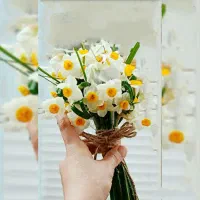 مشاوره رایگان وانجام مسائل حقوقی خانواد باهزینه کم