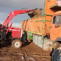 خرید و فروش کود حیوانی