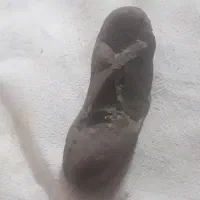 وسائل شخصی