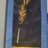 تعدادی ظروف خاص چینی نو و زیبا|ظروف سرو و پذیرایی|اصفهان, مرداویج|دیوار